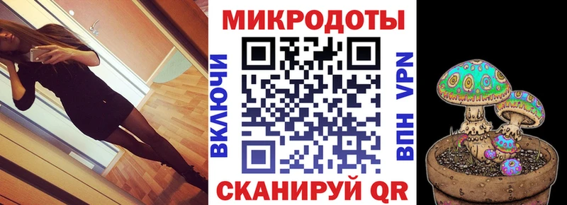 Галлюциногенные грибы Psilocybine cubensis  наркошоп  Горняк 