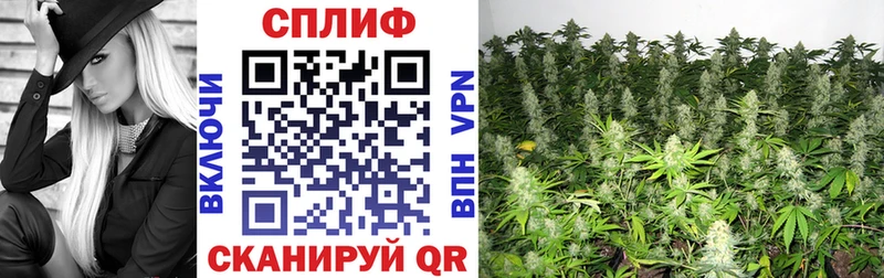 Шишки марихуана индика  Горняк 